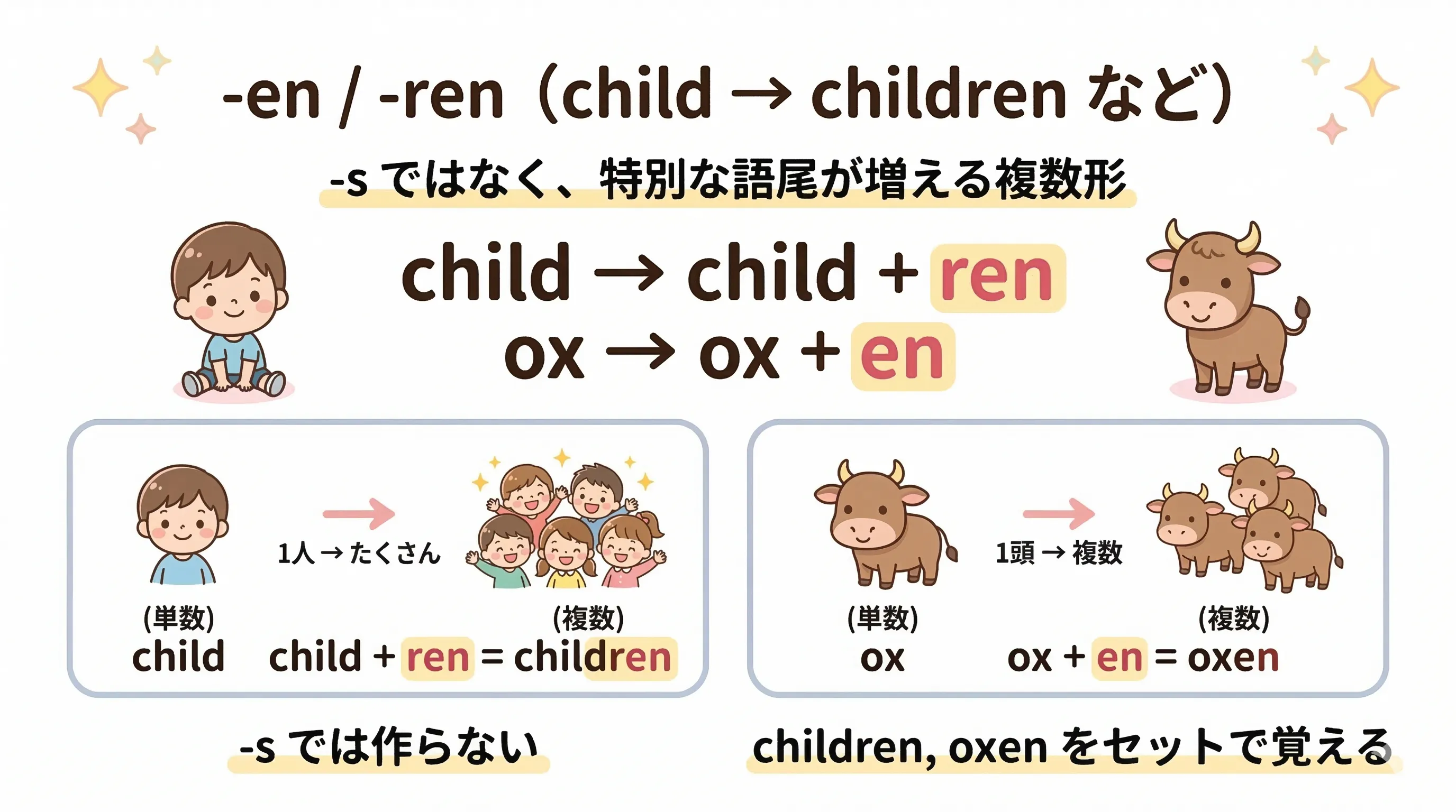 child children や ox oxen など、-en / -ren で複数を作る不規則複数のイメージ図