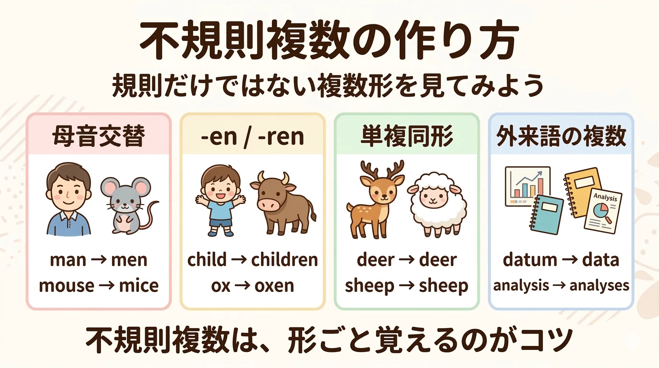 不規則複数の作り方。母音交替、-enや-ren、単複同形、外来語の複数を整理した図