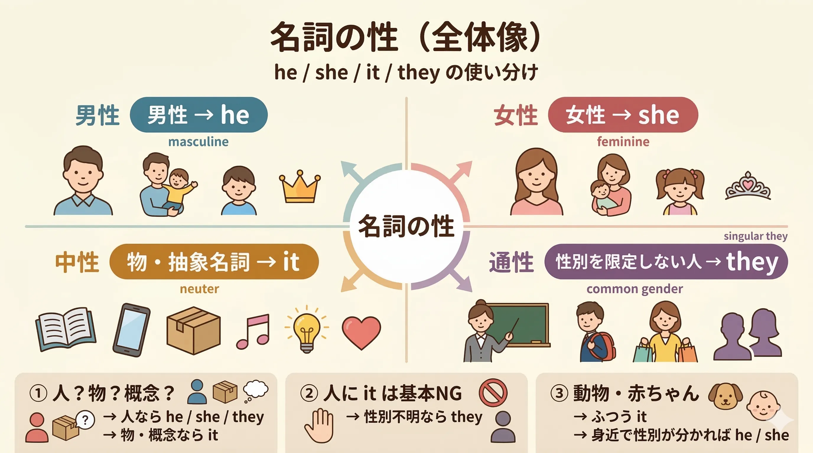 名詞の性の全体像（男性・女性・中性・通性）と he she it they の使い分けイメージ